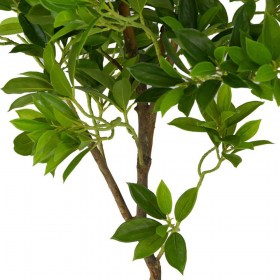 Искусственные растения Дерево счастья MK-7406-FT Темно-зеленый в Чехове - chexov.katalogmebeli.com | фото 4