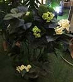 Искусственные растения Гортензия кремовая MK-7410-HW Темно-зеленый в Чехове - chexov.katalogmebeli.com | фото 2