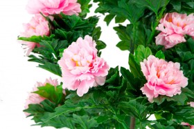 Искусственные растения Пион розовый MK-7411-HP Темно-зеленый в Чехове - chexov.katalogmebeli.com | фото 2