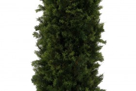 Искусственные растения Туя MK-7400-CT Темно-зеленый в Чехове - chexov.katalogmebeli.com | фото 2