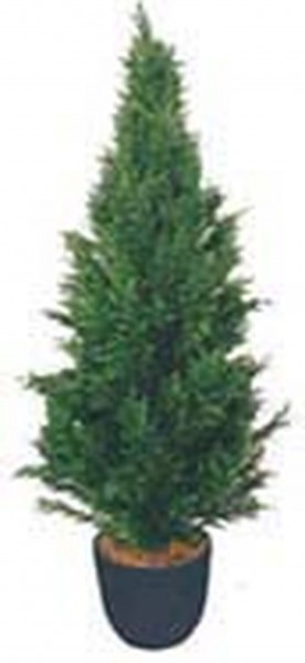 Искусственные растения Туя MK-7403-CT Темно-зеленый в Чехове - chexov.katalogmebeli.com | фото